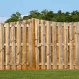 Wood Repair